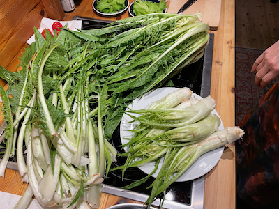 Puntarelle (Vulkanspargel)