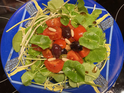 Mediterraner Winterportulak-Salat