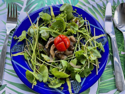 Gebratene Austernpilze mit Winterportulak-Salat